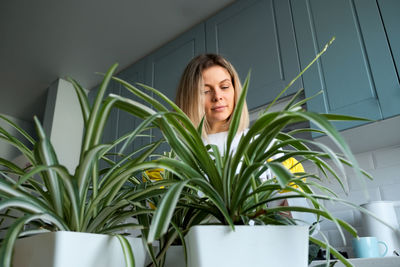 Woman gardening takes care house plants at kitchen