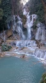 Scenic view of waterfall in forest