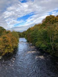 Scenic view of river amidst trees against sky