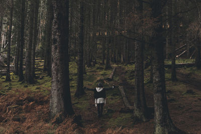 Rear view of man in forest