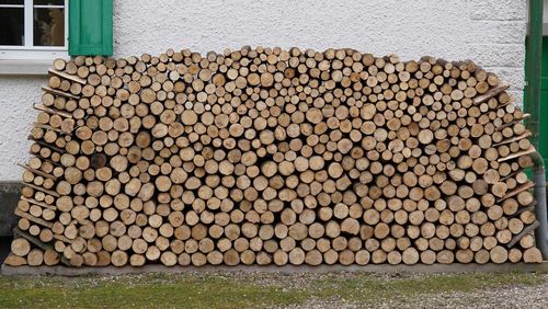 Stack of logs in forest