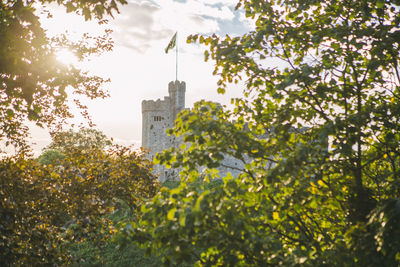 Trees and cityscape against sky