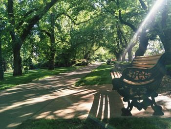 View of trees in park