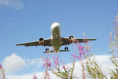 Low angle view of airplane flying against blue sky