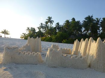 Palm trees on beach against clear sky