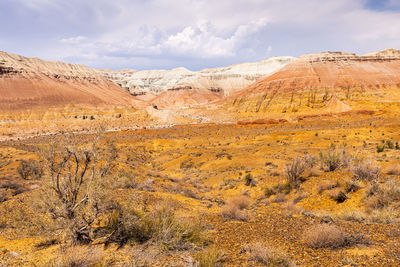 Scenic view of landscape and mountains against sky