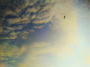 Low angle view of birds flying in sky