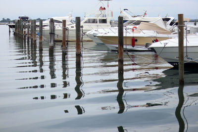 Sailboats moored in harbor against sky