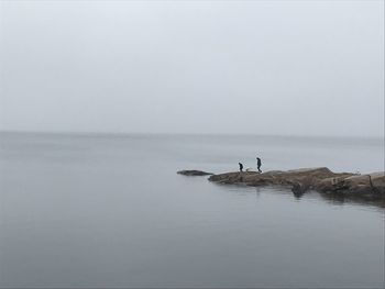 Man with son by sea on rock