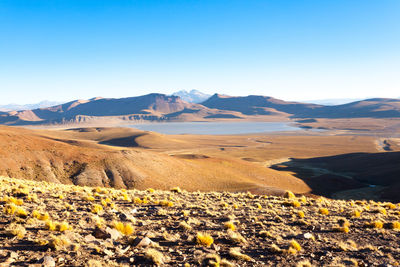 Scenic view of landscape against clear sky