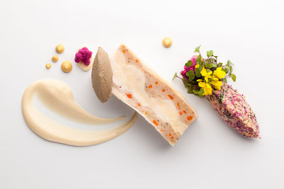 Close-up of multi colored flowers against white background