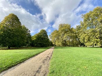 Trees on field against sky