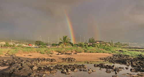 Scenic view of rainbow over trees against sky