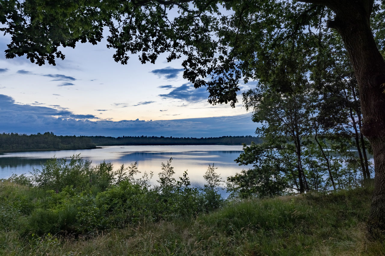 SCENIC VIEW OF LAKE AGAINST TREES