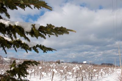 Scenic view of landscape against cloudy sky