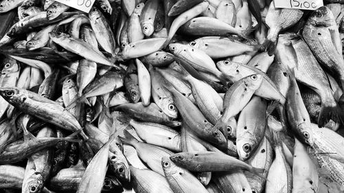 Full frame shot of fishes for sale at market