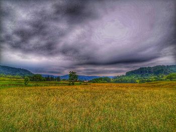 Scenic view of agricultural field against sky