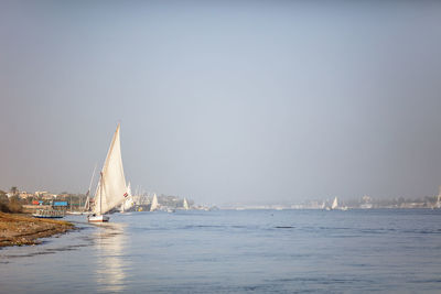 Beautiful fishing and pleasure boats on the nile in luxor. clear, sunny day.