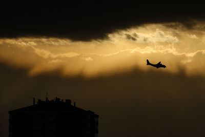 Low angle view of silhouette birds flying in sky