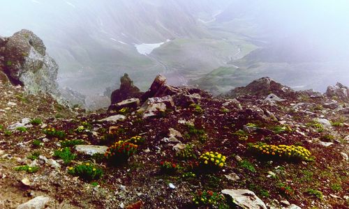 Scenic view of landscape and mountains