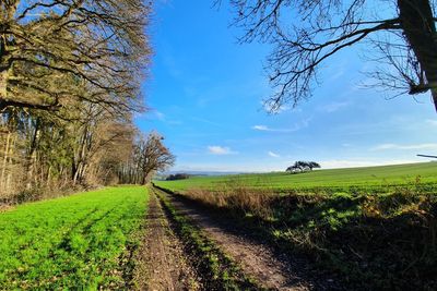 Dirt road amidst field against sky