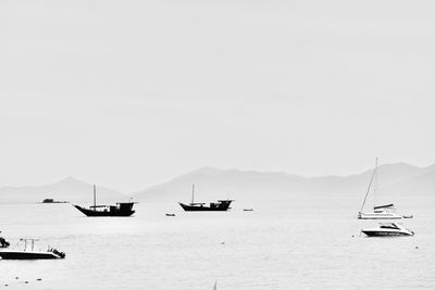 Sailboats sailing in sea against clear sky