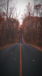 Road passing through bare trees