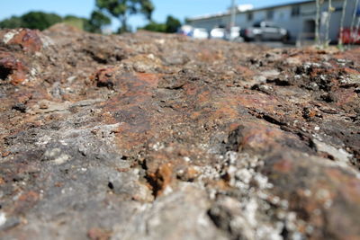 Close-up of mud on sand