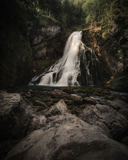 Scenic view of waterfall in forest