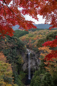 Scenic view of road amidst trees during autumn