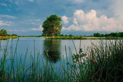 Scenic view of lake against sky