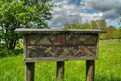 View of an animal on field against the sky