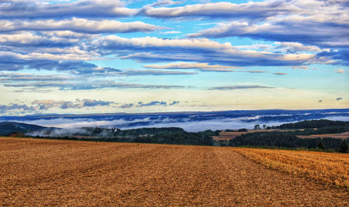Scenic view of agricultural field against sky