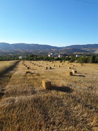 Scenic view of field against clear sky