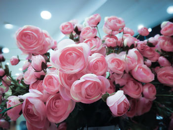 Close-up of pink roses