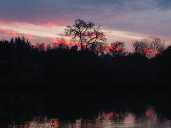 Silhouette of trees at sunset