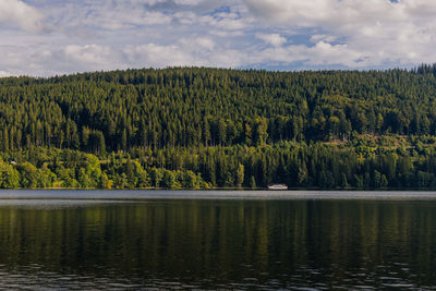 Scenic view of pine trees in lake against sky