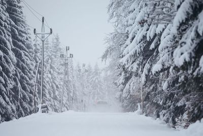 Trees on snow covered land against sky