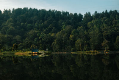 Scenic view of lake in forest during autumn