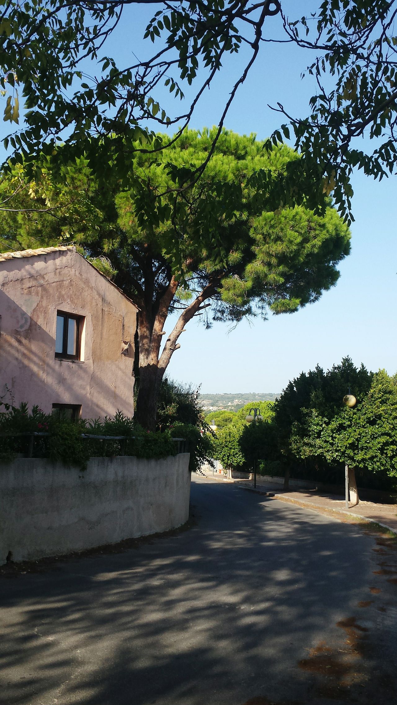 Mediterranian houses