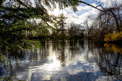 Scenic view of lake in forest against sky
