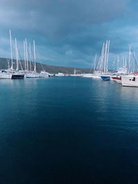 Sailboats in marina