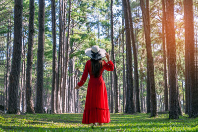 Woman standing by plants in forest