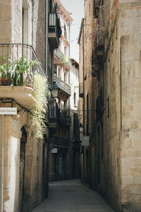 Alley amidst houses