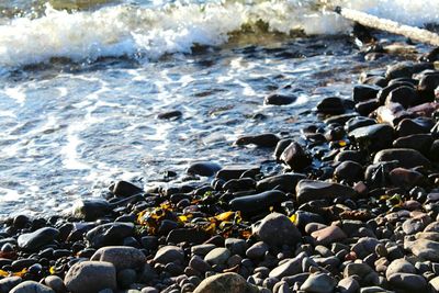 Rocks on sea shore