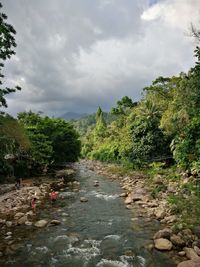 River amidst trees against sky