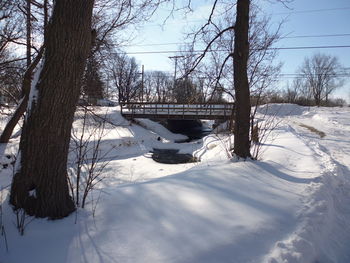 Bare trees on snow covered landscape