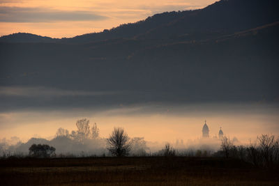 Silhouette trees on field against mountain during sunset