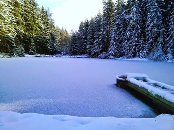 Scenic view of snow covered landscape