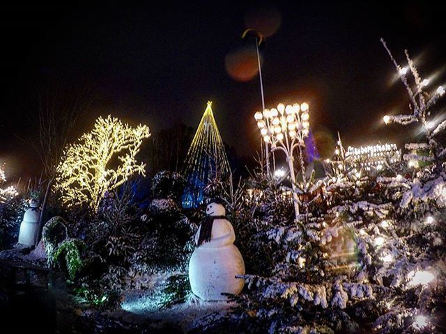 illuminated, night, lighting equipment, street light, glowing, light - natural phenomenon, celebration, electricity, electric light, decoration, built structure, lit, christmas decoration, architecture, no people, building exterior, christmas, low angle view, outdoors, light beam